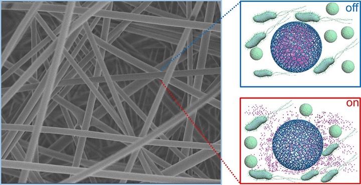 ▲图片来自：ACS Applied Bio Materials