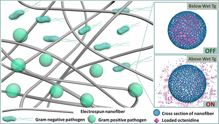 ▲图片来自：ACS Applied Bio Materials