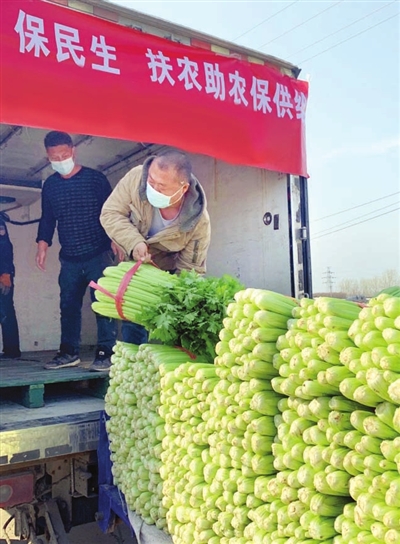 企业与农户对接，确保蔬菜尽早上市。