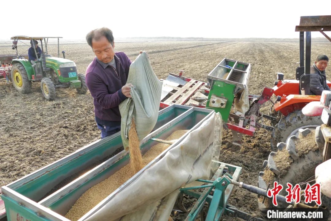 农民播种小麦。中新社记者 佟郁 摄