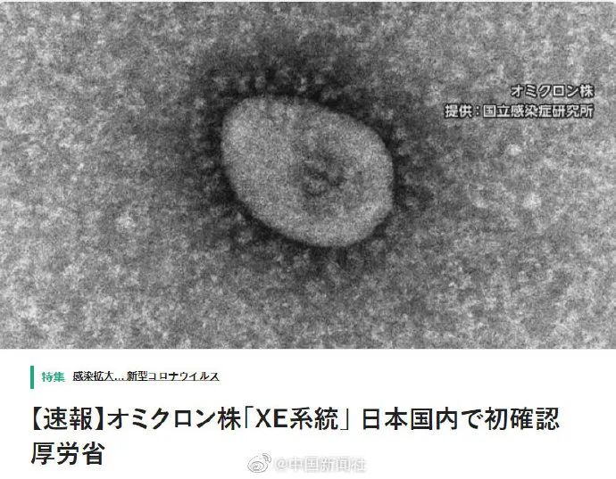 日本富士新闻网11日报道，日本厚生劳动省表示，日本国内首次确认新冠重组毒株XE感染病例。