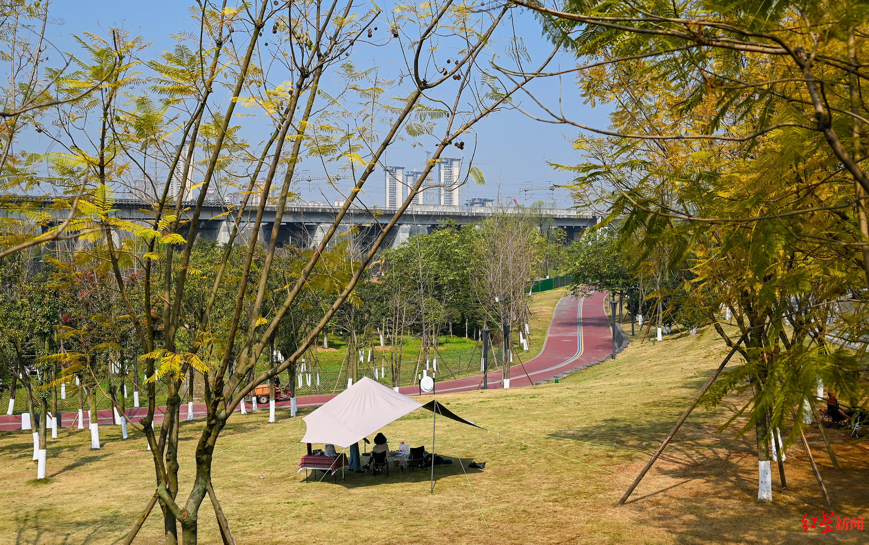 ▲市民在北湖生态公园绿道旁草坪上露营 王效 摄