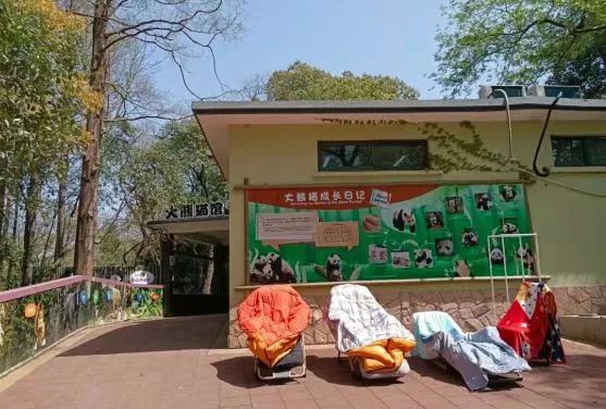  图/上海动物园