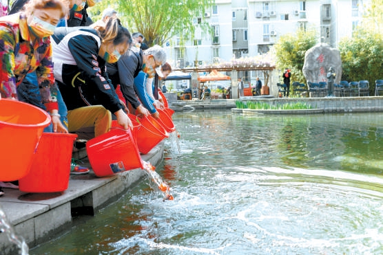 昨天，金鱼池回迁20周年纪念活动举行，居民们将寓意吉祥的金鱼投放到池塘中。 本报记者 胡铁湘摄