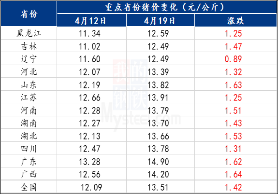 母猪怀孕3个月的图片,母猪怀孕九十天图片 09元/公斤涨至13.51元/公斤,累计走高1.42元/公斤.