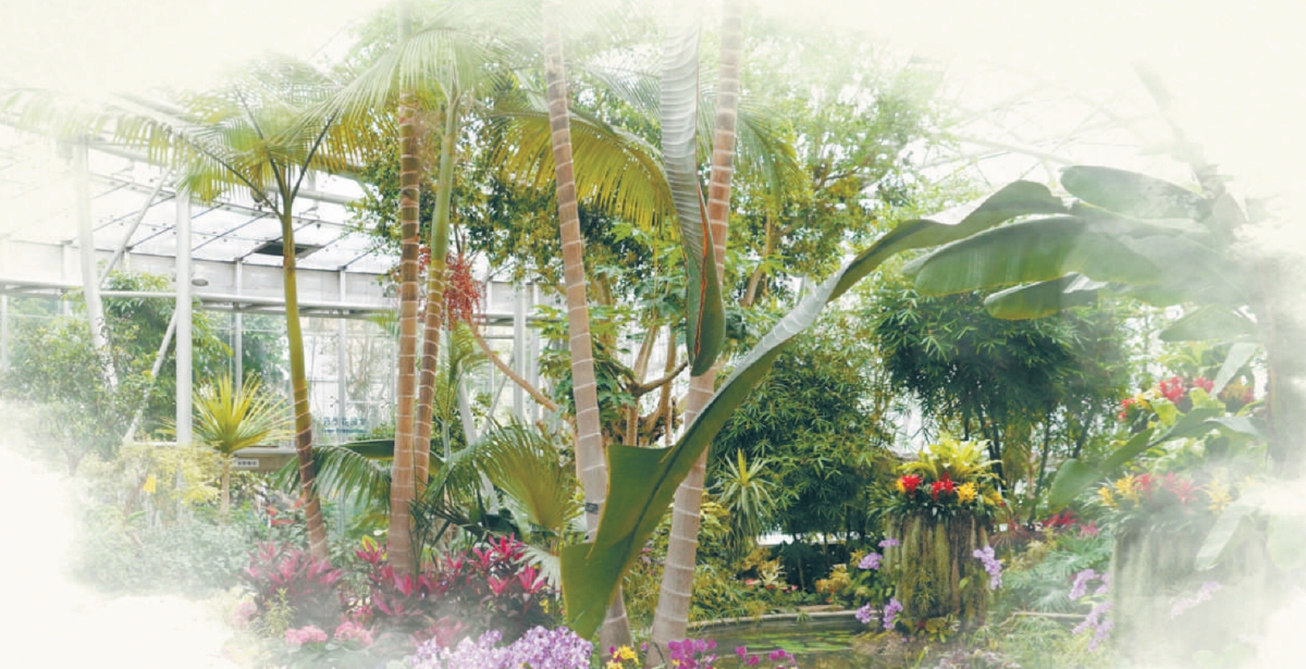 为什么要建国家植物园|北京植物园_新浪财经_新浪网