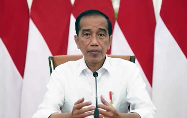 （印尼总统维多多，来源：社交媒体）