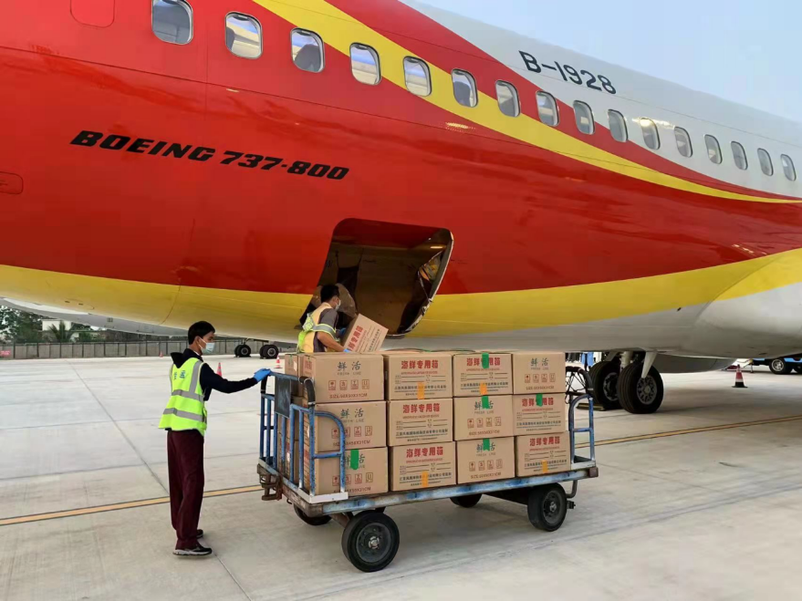 海航貨運工作人員將蝦苗裝載至客機腹艙