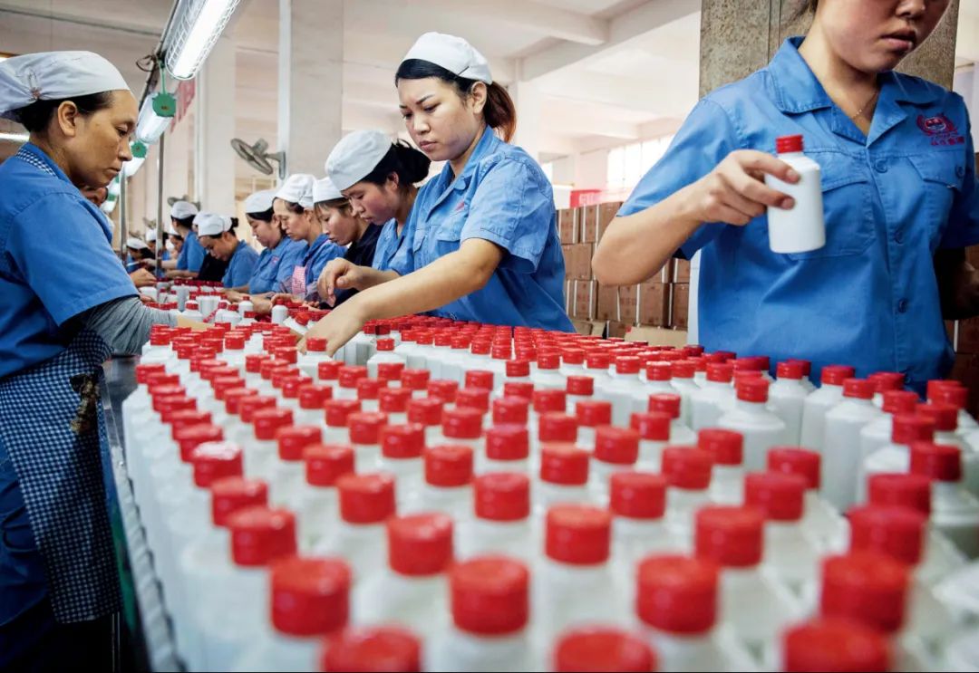 2016年9月，贵州仁怀市茅台镇一家酒业集团内，工人们整理瓶装的白酒。图/视觉中国