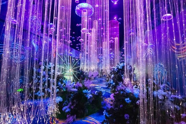 梦境中的奇迹，遇见龙凤呈祥与花之海洋