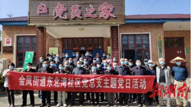 东北湾社区党支部开展主题党日活动