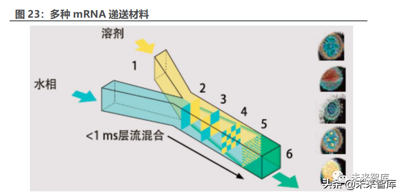 医药mRNA产业链深度报告:mRNA迎来历史机遇,国产力量加速崛起