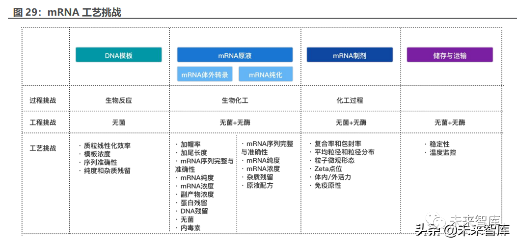 医药mRNA产业链深度报告:mRNA迎来历史机遇,国产力量加速崛起