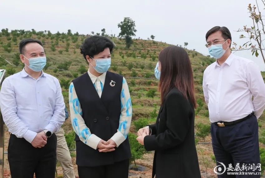 张迎春来娄调研:让产业旺起来农村靓起来|农村_新浪财经_新浪网
