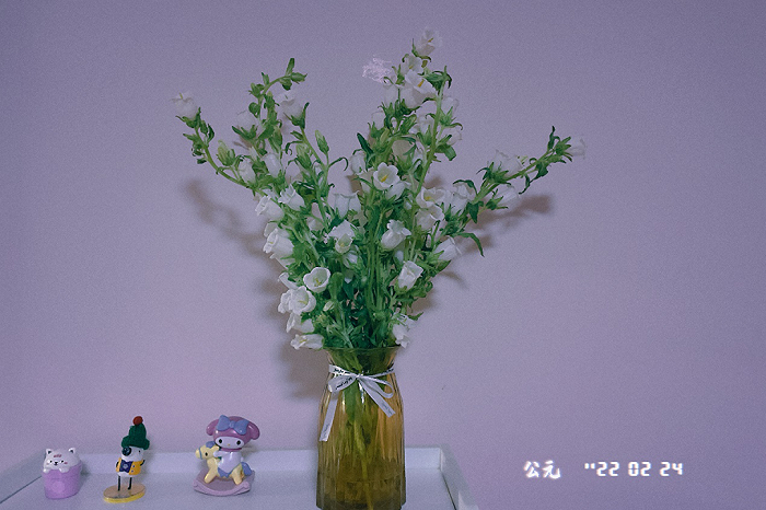 (图 / 林夕购买的鲜花)