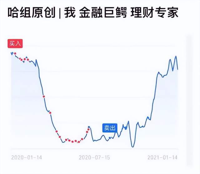 截图源自豆瓣哈组