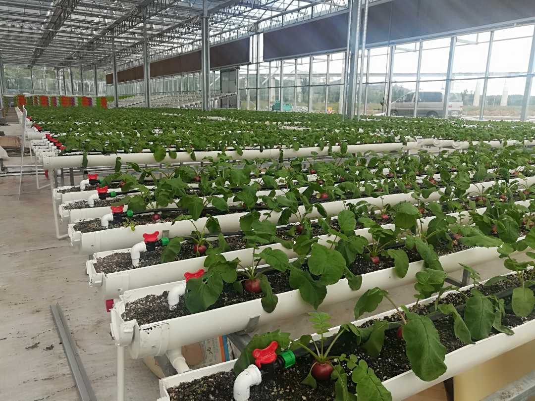 “巅峰对决！‘衢州烂柯杯’中邦围棋冠军赛决赛精巧回忆”