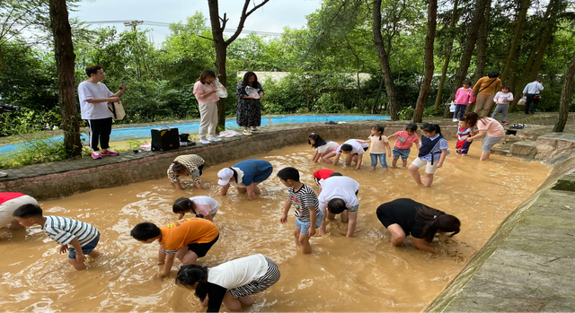 ▲业主体验采茶、泥池摸鱼