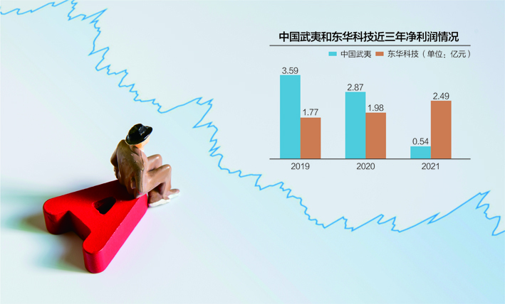 數據來源:公司年報 IC photo 楊靖制圖