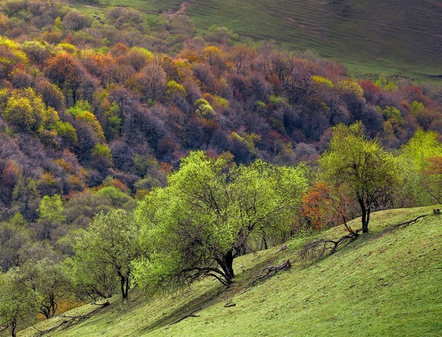 ĻкӰ죿