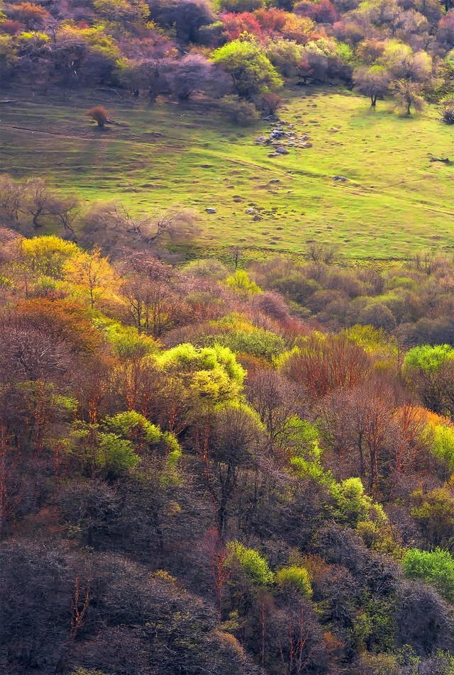 ĻкӰ죿