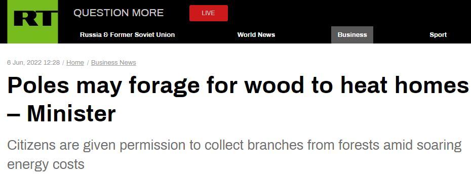 俄媒：波兰气候与环境部副部长称居民可以在森林中寻找木材取暖