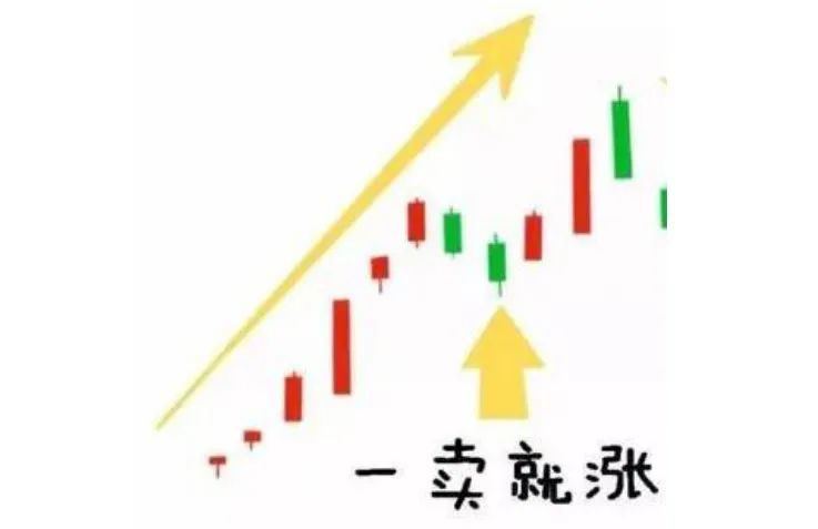 中泰资管天团 | 斯多葛主义投资者的0分高考作文