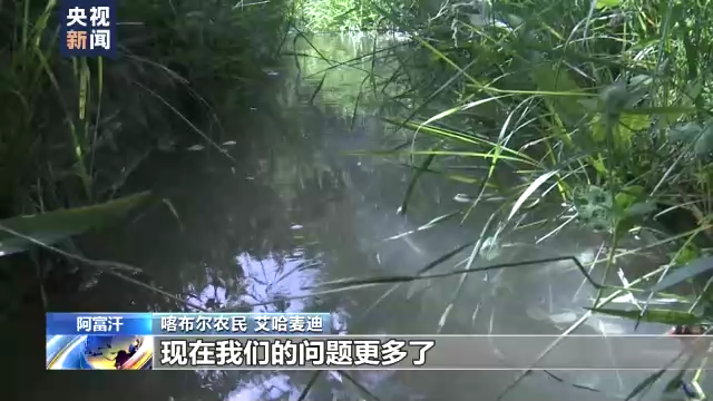 俄乌冲突推升农业生产成本 阿富汗粮食危机恐加剧