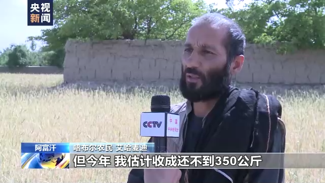 俄乌冲突推升农业生产成本 阿富汗粮食危机恐加剧