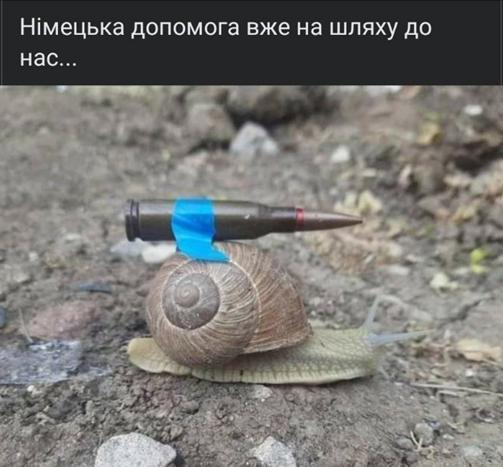 梅利尼克5月26日在推特所发的“蜗牛运送子弹”图