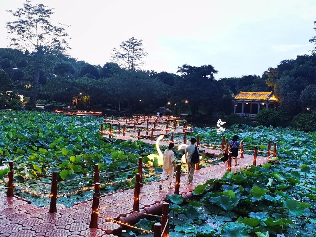 夜游青秀山丨孟萍 摄