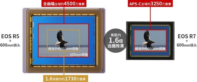APS-CҲ EOS R7ǲֵù