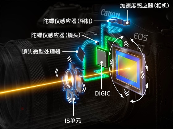 APS-CҲ EOS R7ǲֵù