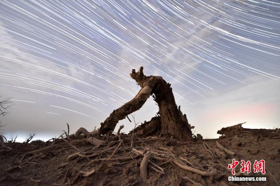 <p>Scenery of beautiful Milky Way landscape above a millennia-old populus euphratica forest in Tarim Basin, northwest China's Xinjiang Uyghur Autonomous Region, June 21, 2022. (Photo/China News Service)</p>
