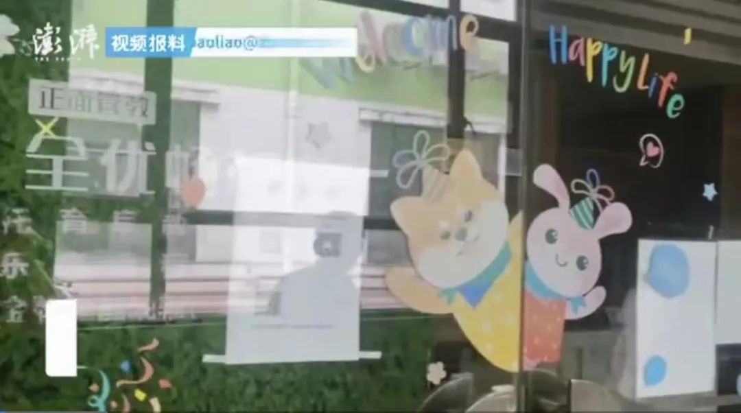 图片来源:澎湃视频截图
