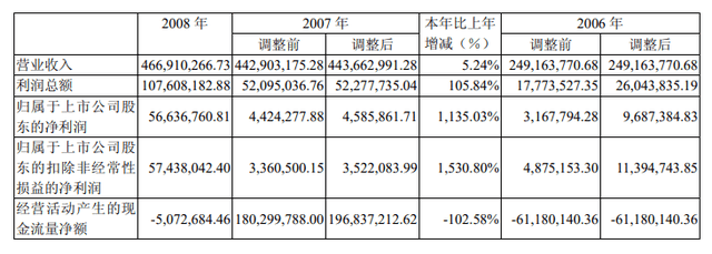 来源:绿景控股2008年财报