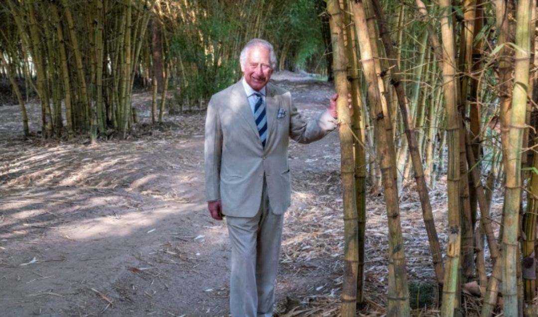 當地時間2022年6月22日,英國查爾斯王子出訪盧旺達。