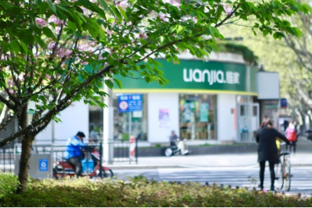 藍冠手機版-藍冠客戶端-藍冠官方版-武漢除甲醛公司-新房室內甲醛治理-武漢裝修甲醛檢測機構