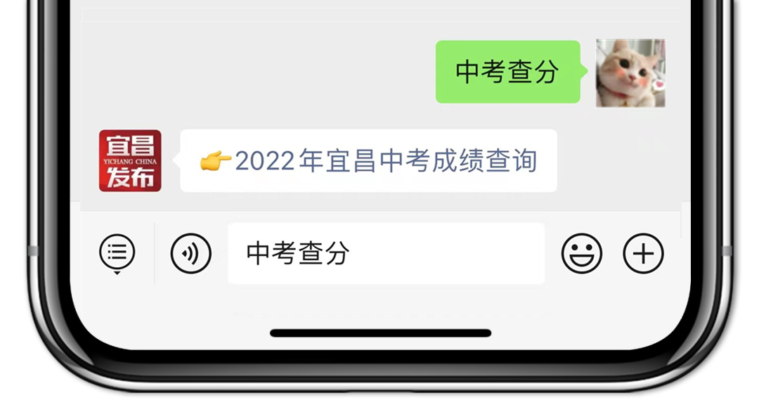 "中考成绩"获取查分通道"中考"中考查分"宜昌中考"对话框输入关键词