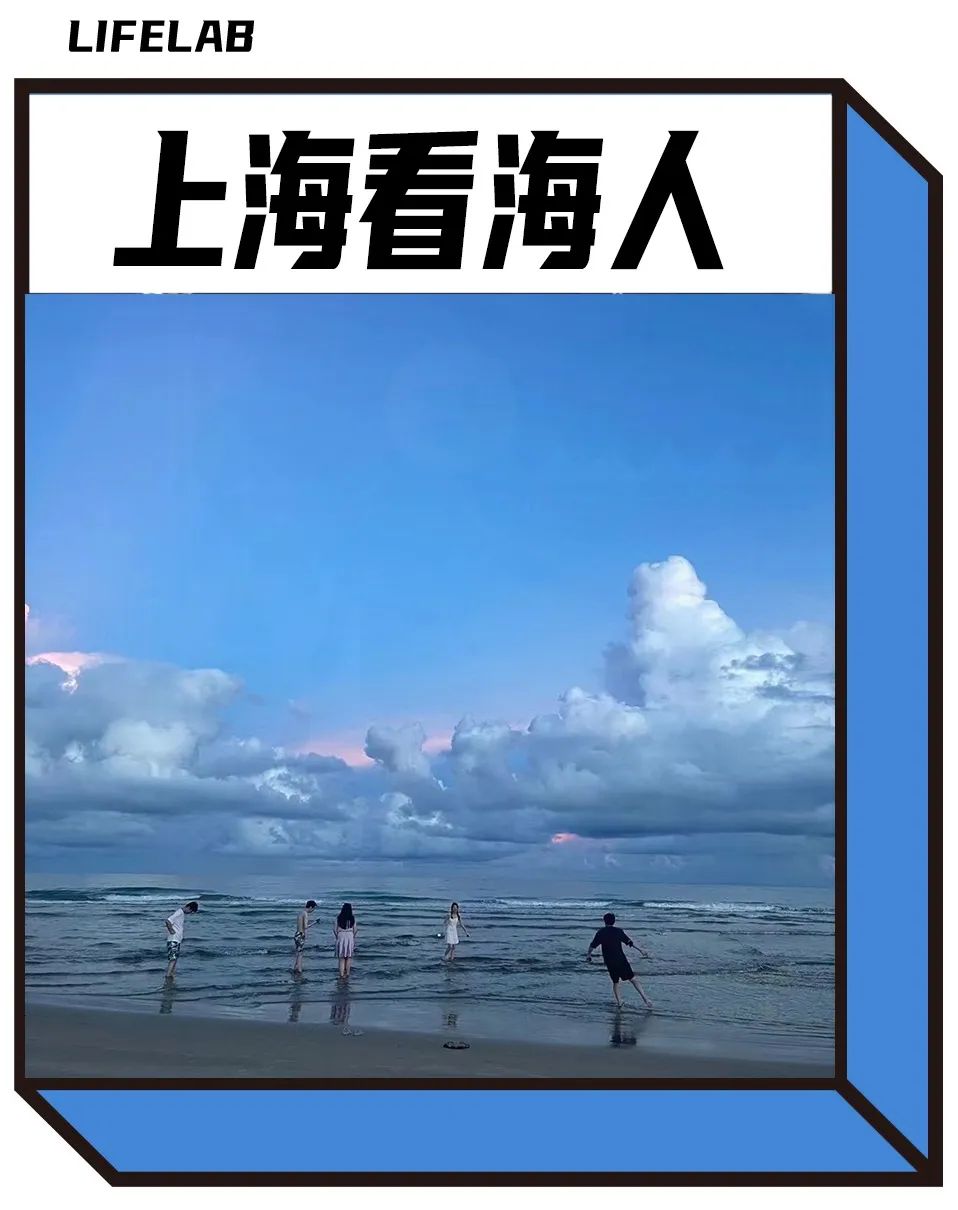 为了看海，上海人连本地海都看了