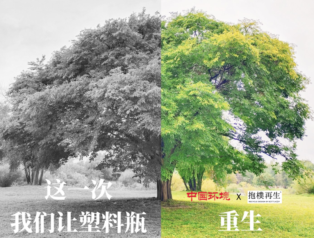 生态文创 | 环保手提袋“买一送一”,等你来下单!  第2张 生态文创 | 环保手提袋“买一送一”,等你来下单!  第2张