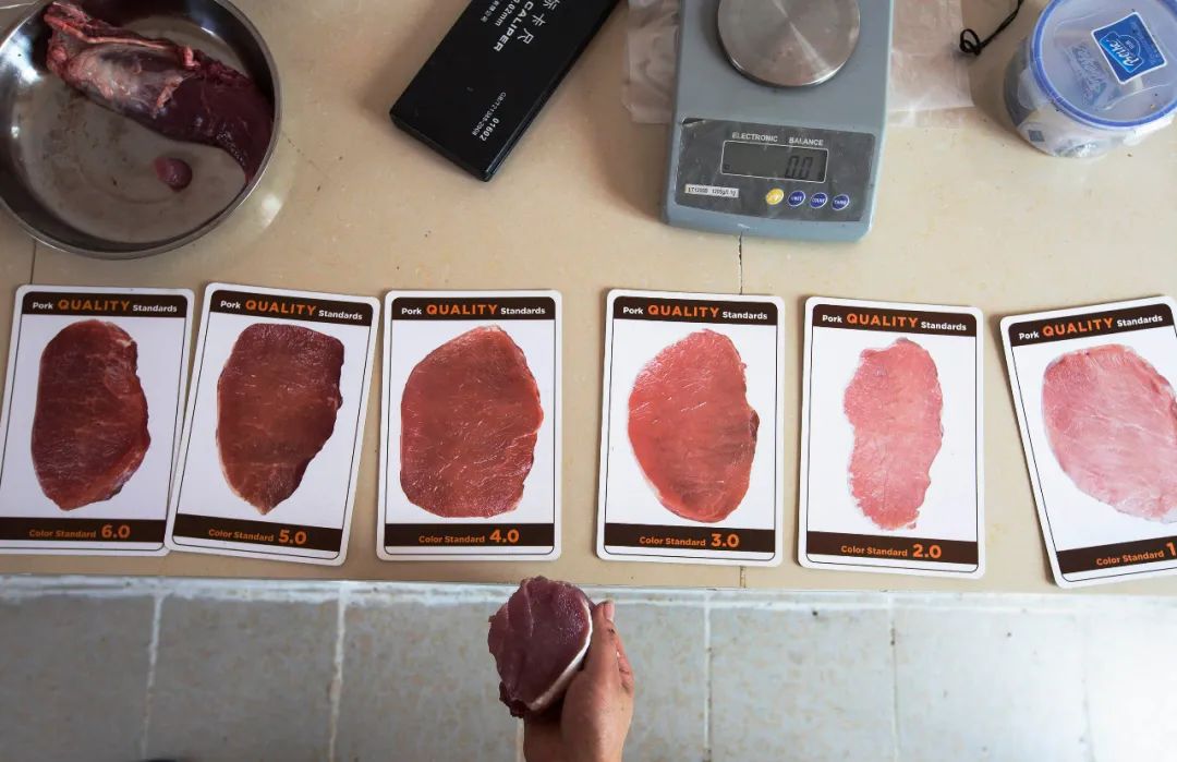 壹号土猪商标 1cb1-67877274bf11cacbdbbfa87c8dde2638.jpg