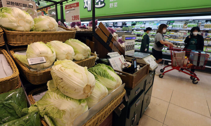 首尔一家大型超市正在销售白菜。 图自韩媒