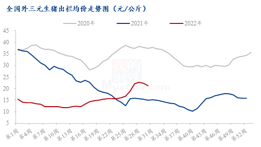 Mysteel解读:多地猪价暴涨1元 市场看好8月