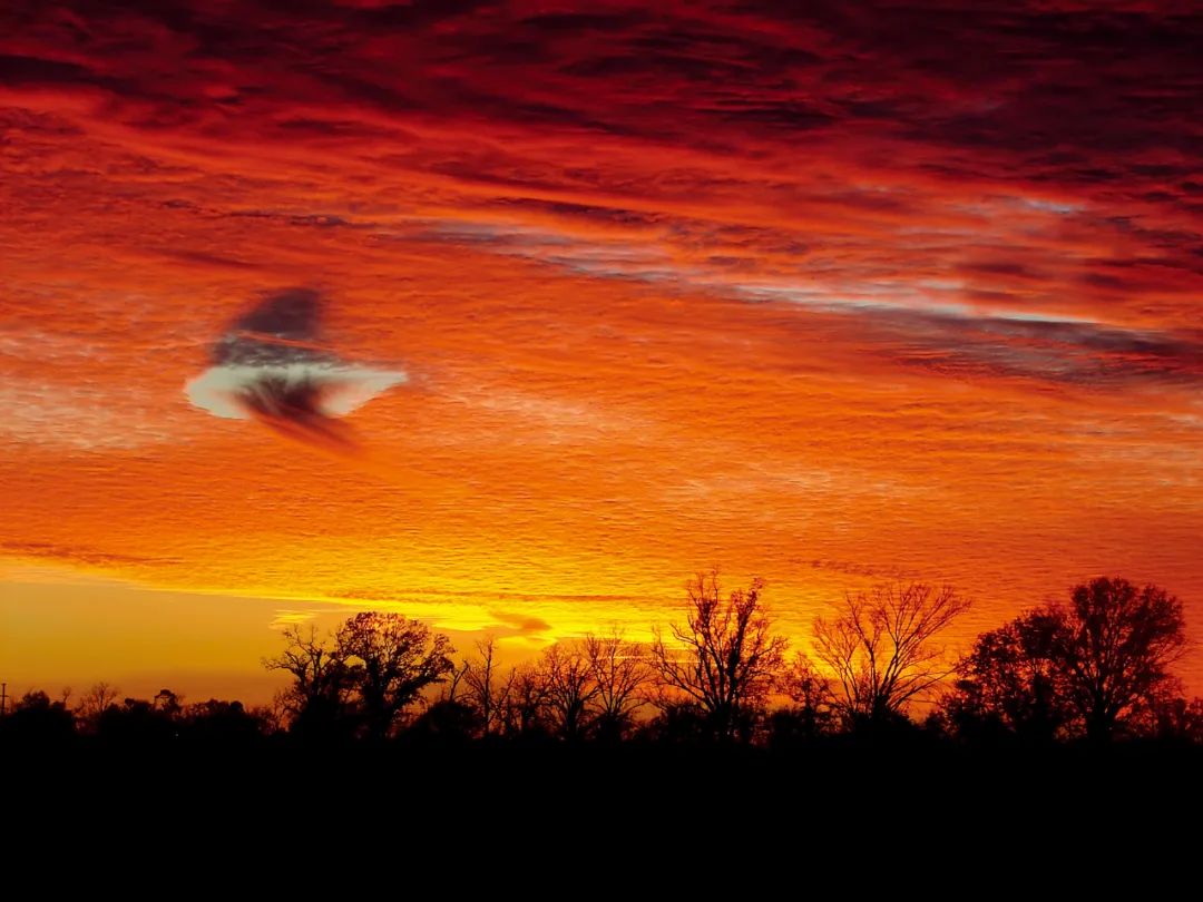 【蜗牛棋牌】赏云协会,和它的59000多个会员