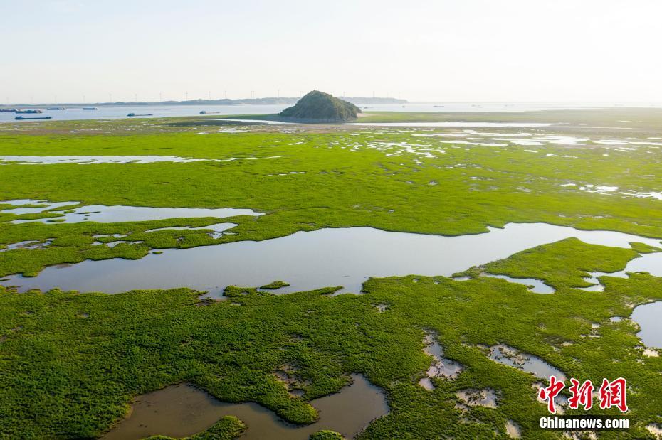 无需充值注册就送38元