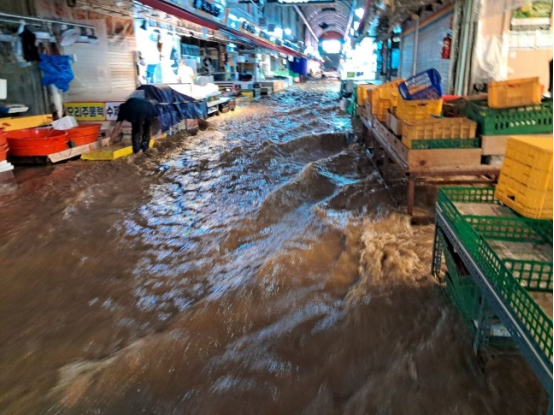 △8月8日，韩国京畿道富川市某市场因暴雨被淹  图片来自韩国媒体