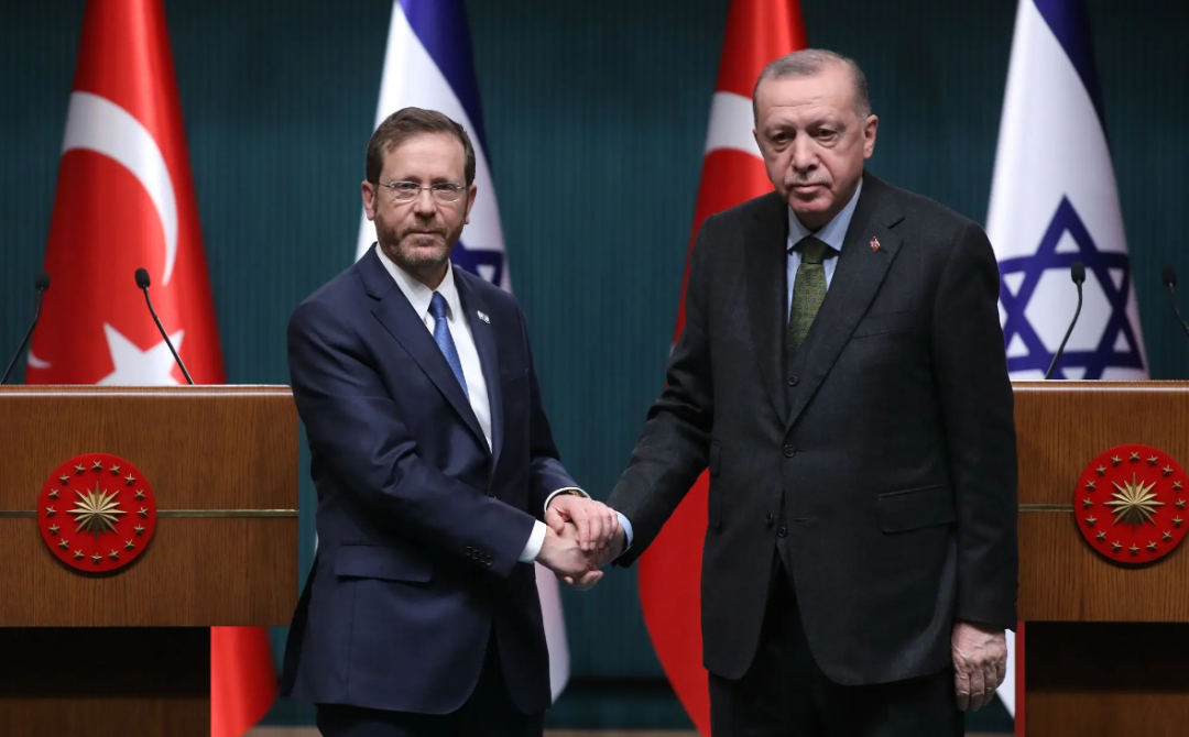 土耳其总统埃尔多安（右）与以色列总统赫尔佐格举行会晤。图源：NYT