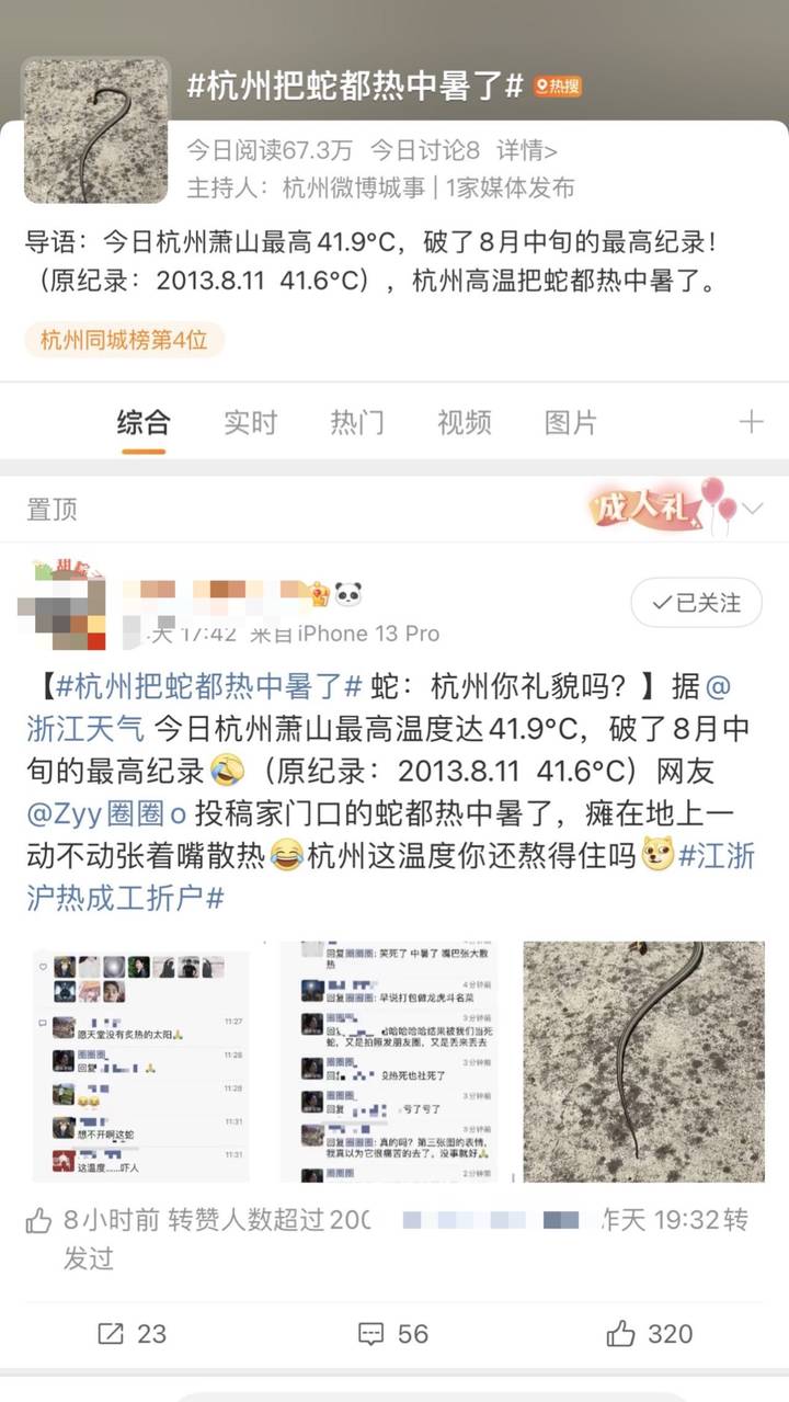 《imtoken转账记录》网友曝“杭州热到蛇都中暑了”，专家：虽然少见，但的确有可能