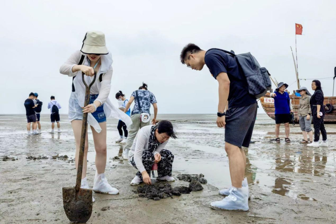 守护“一个长江”，华泰证券资管开展滨海湿地修复志愿者活动